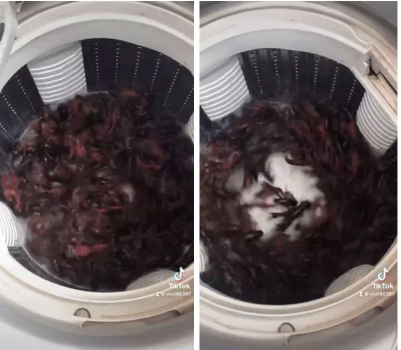 Lười quá sinh nông nổi, cô vợ biến máy giặt đồ thành lồng giặt tôm, dân tình tranh cãi gay gắt vì một câu hỏi đầy e ngại!-1