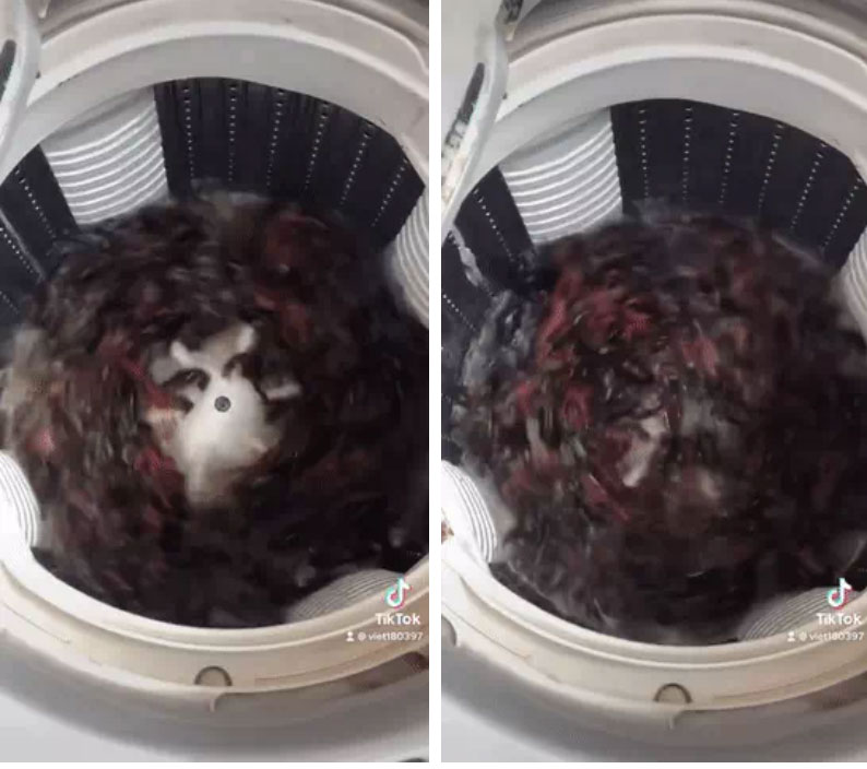 Lười quá sinh nông nổi, cô vợ biến máy giặt đồ thành lồng giặt tôm, dân tình tranh cãi gay gắt vì một câu hỏi đầy e ngại!-2