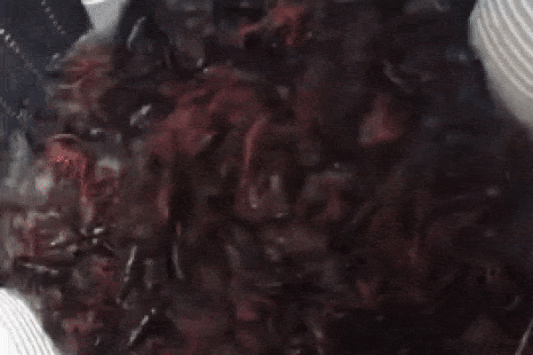 Cách vệ sinh máy giặt chỉ với 3 bước cực đơn giản mà không cần tháo lồng-3