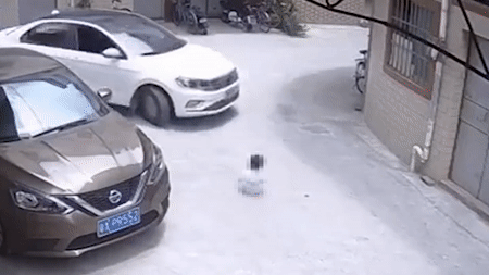 Bé gái suýt chết dưới bánh ô tô, đoạn clip ghi lại hành động trước đó của người mẹ gây phẫn nộ-1