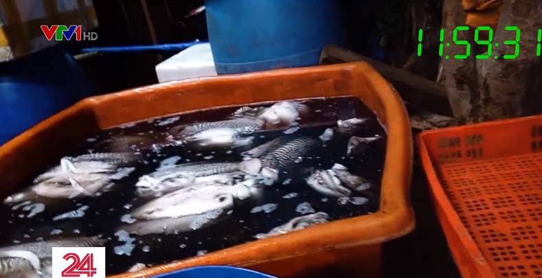 Kinh hãi công nghệ tẩy trắng mực thối bằng oxy già-1