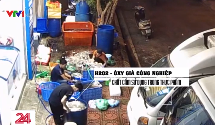 Kinh hãi công nghệ tẩy trắng mực thối bằng oxy già-5