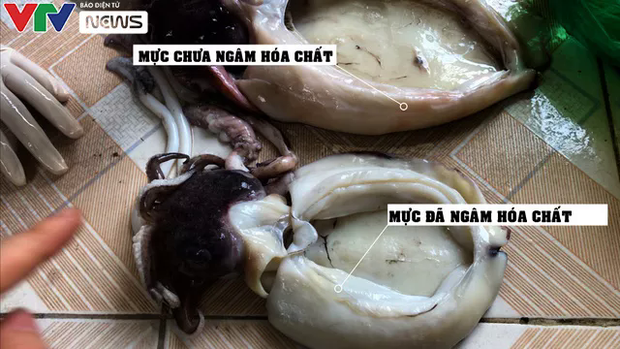 Công nghệ dùng oxy già phù phép mực ươn thành tươi ngon khiến người ăn tích tụ hóa chất độc hại: Làm sao để mua được mực tươi ngon, đảm bảo?-1