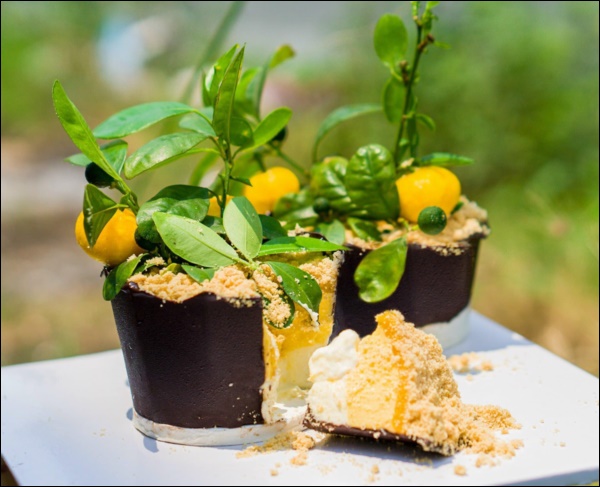 Đã xinh đẹp giỏi giang còn đảm đang khéo léo, Hoa hậu Ngọc Hân trổ tài làm bánh hình chậu quất mini cực độc đáo-9