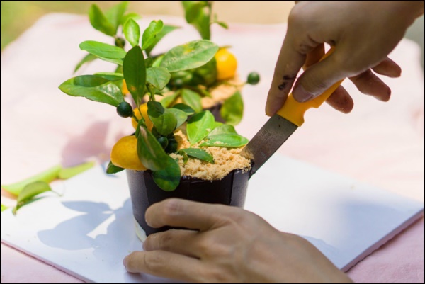 Đã xinh đẹp giỏi giang còn đảm đang khéo léo, Hoa hậu Ngọc Hân trổ tài làm bánh hình chậu quất mini cực độc đáo-7