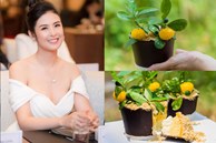 Đã xinh đẹp giỏi giang còn đảm đang khéo léo, Hoa hậu Ngọc Hân trổ tài làm bánh hình chậu quất mini cực độc đáo