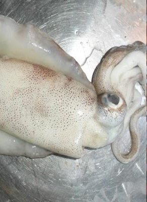 Hãy ghim ngay 4 cách phân biệt MỰC TƯƠI chuẩn với MỰC NGÂM HÓA CHẤT nếu chị em không muốn rước bệnh vào người!-5