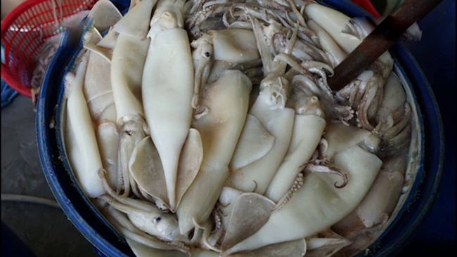 Hãy ghim ngay 4 cách phân biệt MỰC TƯƠI chuẩn với MỰC NGÂM HÓA CHẤT nếu chị em không muốn rước bệnh vào người!-4