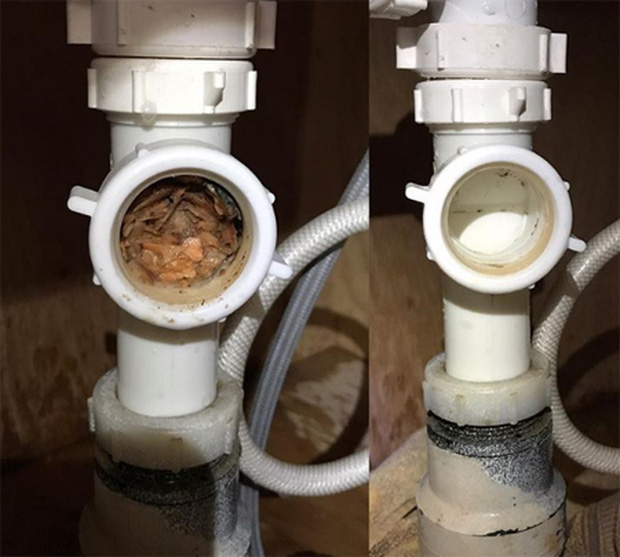 6 cách thông tắc bồn rửa từ những nguyên liệu sẵn có trong nhà bếp, chi phí chưa đến vài chục ngàn-4