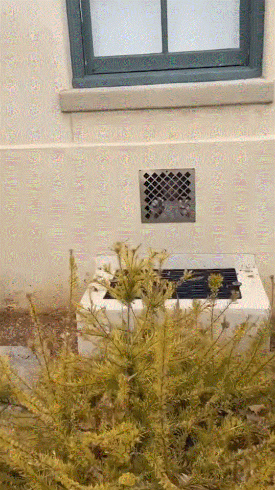 Thấy bé gái bị nhốt dưới hầm đang kêu cứu, cô gái đến gần mới vỡ lẽ sự thật nhưng quay clip đăng đàn thì được dân mạng khuyên báo cảnh sát ngay-2