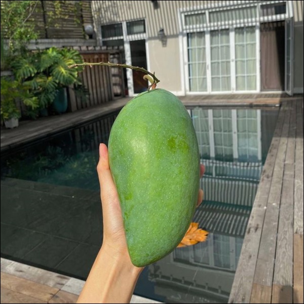 Biệt thự triệu đô của Tăng Thanh Hà và ông xã Louis Nguyễn vào hè cây trái sai trĩu quả, ai nhìn cũng thích mê-5