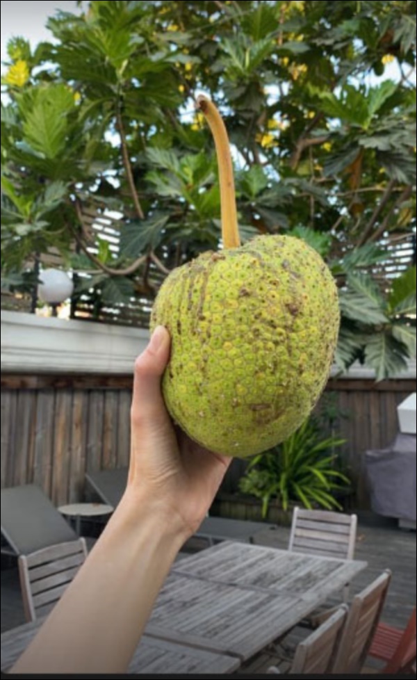 Biệt thự triệu đô của Tăng Thanh Hà và ông xã Louis Nguyễn vào hè cây trái sai trĩu quả, ai nhìn cũng thích mê-10