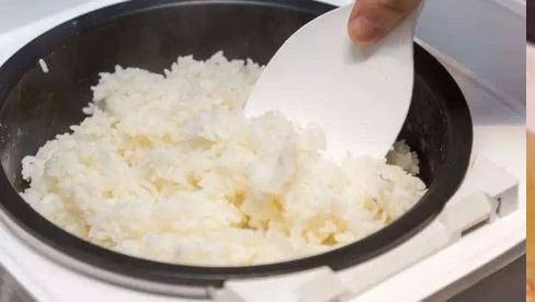 3 cách bảo quản cơm thừa không bị ôi thiu trong mùa hè