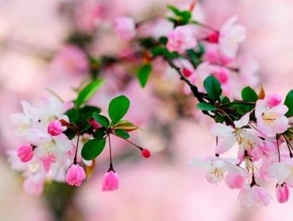 Bước sang tháng 6, 3 con giáp quý nhân giúp đỡ, sự nghiệp khởi sắc, công việc thuận buồm xuôi gió, bội thu tiền bạc-1