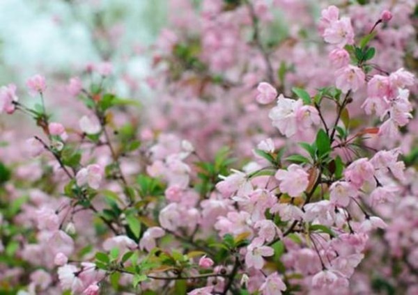 Bước sang tháng 6, 3 con giáp quý nhân giúp đỡ, sự nghiệp khởi sắc, công việc thuận buồm xuôi gió, bội thu tiền bạc-2