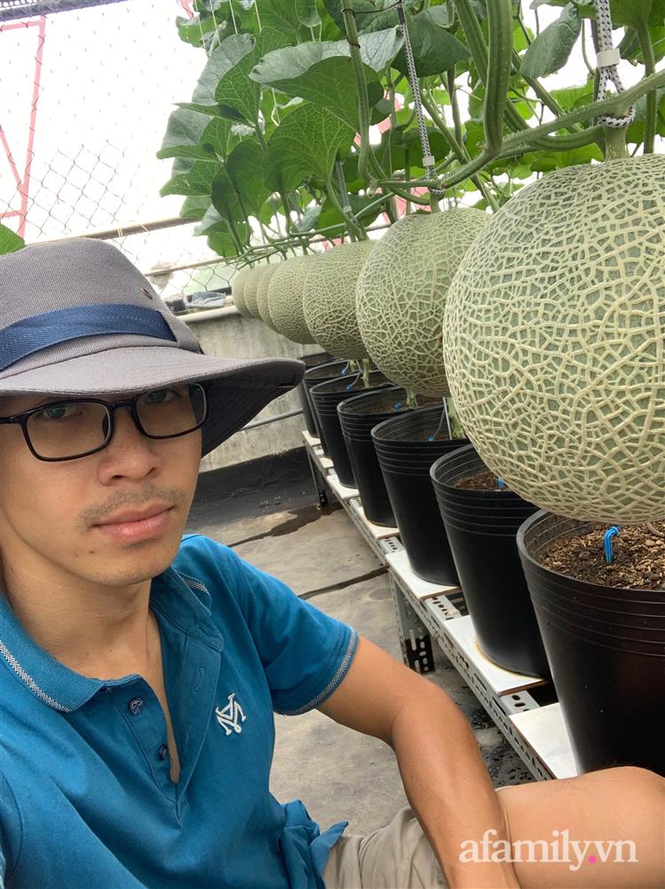 Vườn dưa lưới hữu cơ trên sân thượng với trái to đều tăm tắp ai nhìn cũng mê của cặp vợ chồng trẻ Sài Gòn-6