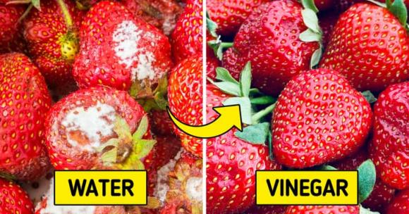 Mách nhỏ 8 cách để giữ cho thực phẩm của bạn được tươi lâu hơn-2