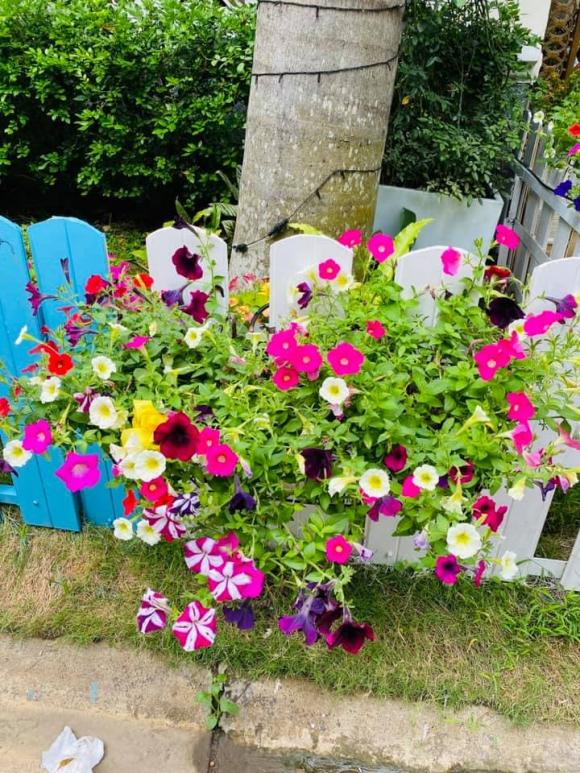 Vy Oanh khoe khu vườn ngập hoa thơm, cây ăn quả trĩu trái trong biệt thự rộng 1400m2-9