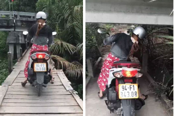 Vũng Tàu xôn xao bởi cây phượng lạ, hoa một bên lá một bên đúng kiểu mệnh ai người nấy rực rỡ-2