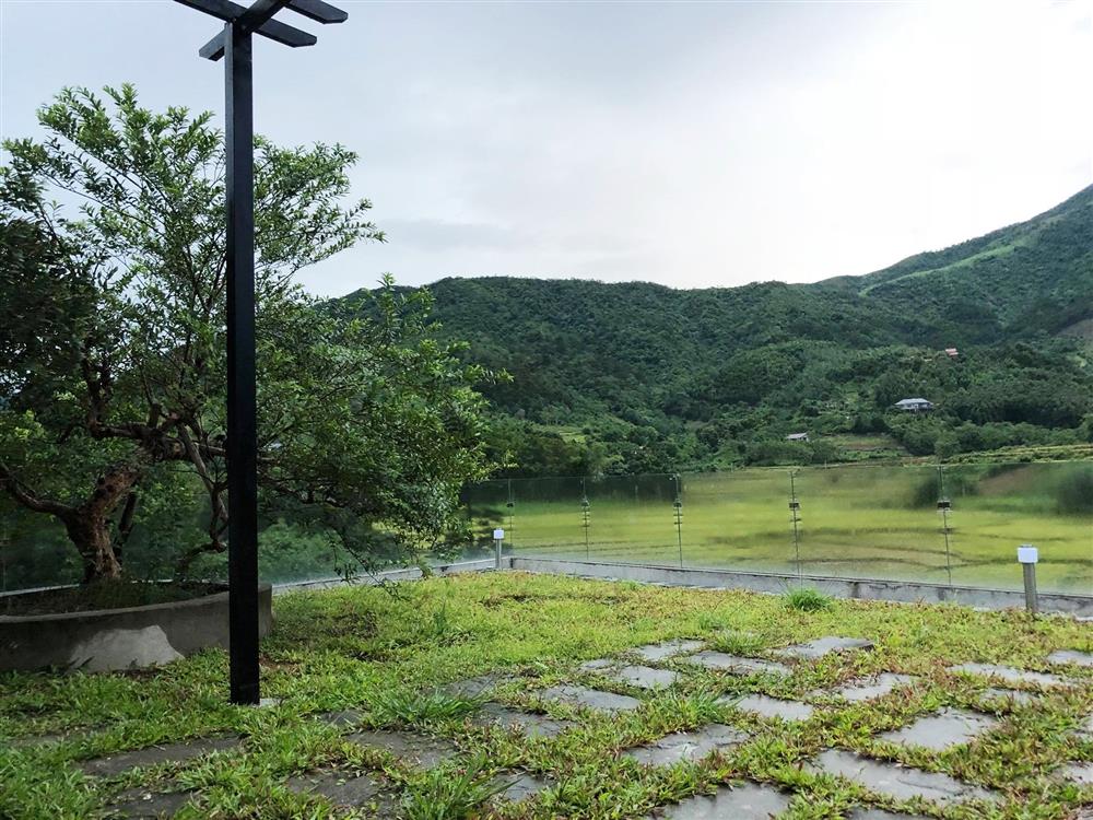 Cận cảnh khu vườn trong căn biệt phủ ngoại ô của hot mom Văn Thùy Dương, trồng được cả loại ớt đắt nhất thế giới có giá gần 1 tỷ đồng/kg-4