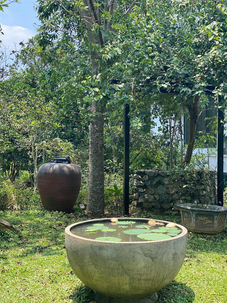 Cận cảnh khu vườn trong căn biệt phủ ngoại ô của hot mom Văn Thùy Dương, trồng được cả loại ớt đắt nhất thế giới có giá gần 1 tỷ đồng/kg-6