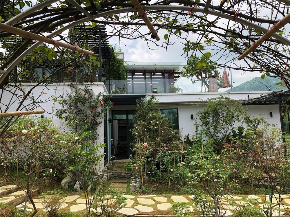 Cận cảnh khu vườn trong căn biệt phủ ngoại ô của hot mom Văn Thùy Dương, trồng được cả loại ớt đắt nhất thế giới có giá gần 1 tỷ đồng/kg-8