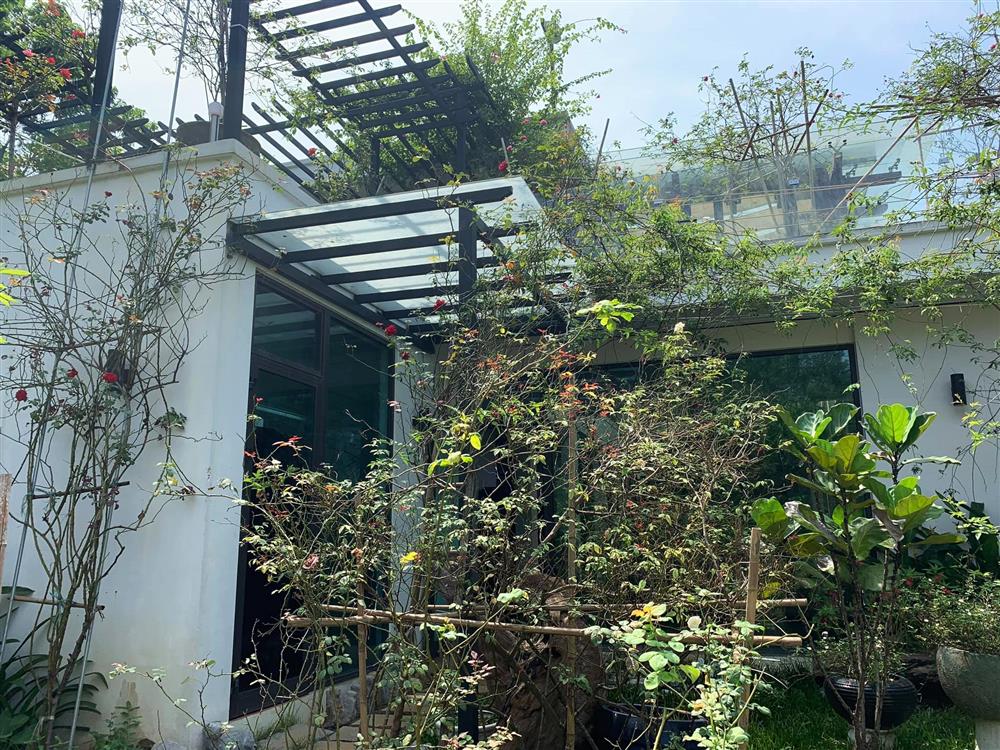 Cận cảnh khu vườn trong căn biệt phủ ngoại ô của hot mom Văn Thùy Dương, trồng được cả loại ớt đắt nhất thế giới có giá gần 1 tỷ đồng/kg-9