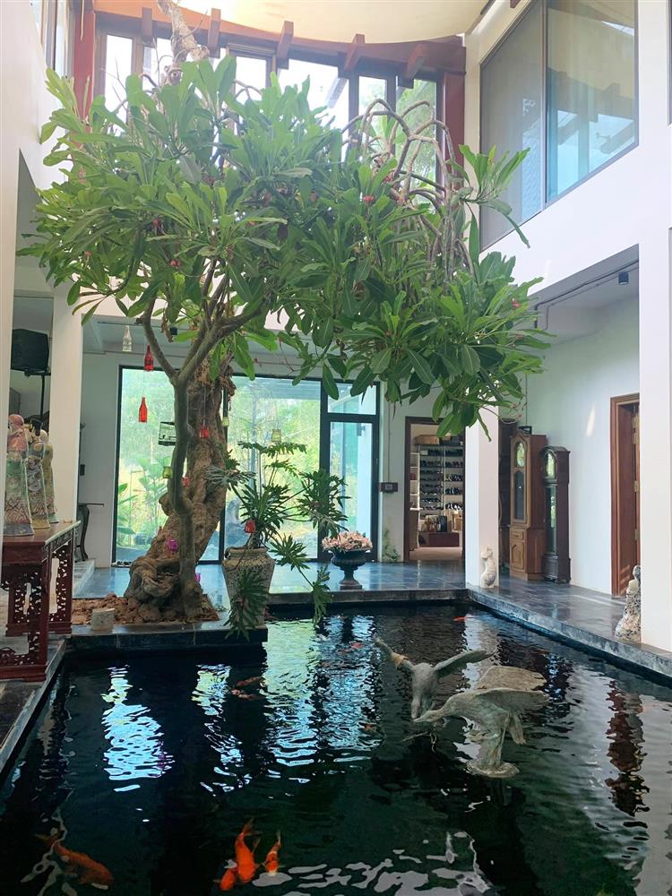 Cận cảnh khu vườn trong căn biệt phủ ngoại ô của hot mom Văn Thùy Dương, trồng được cả loại ớt đắt nhất thế giới có giá gần 1 tỷ đồng/kg-11