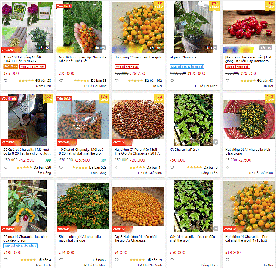 Cận cảnh khu vườn trong căn biệt phủ ngoại ô của hot mom Văn Thùy Dương, trồng được cả loại ớt đắt nhất thế giới có giá gần 1 tỷ đồng/kg-27