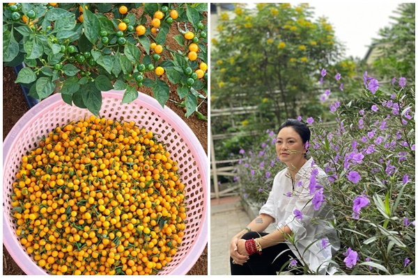 Ngọc Trinh rao bán căn penthouse sang trọng với giá 15 tỷ đồng, chấp nhận chịu lỗ-15