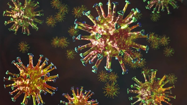 Vì sao virus SARS- CoV-2 biến chủng Ấn Độ nguy hiểm? Chuyên gia chỉ ra 2 lý do-2