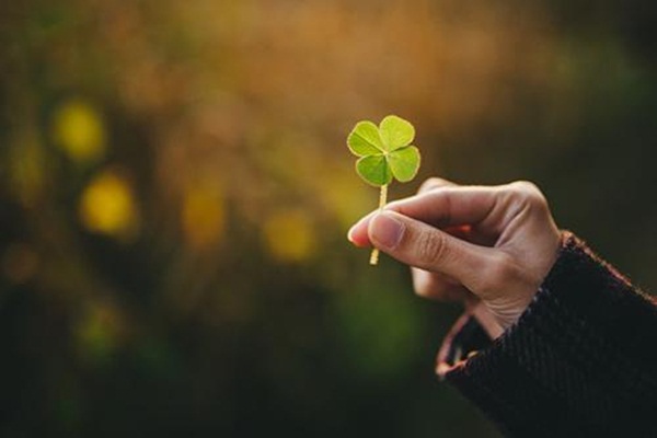 15 ngày tới, những cung hoàng đạo một bước lên đời, tiền bạc đầy ví-1