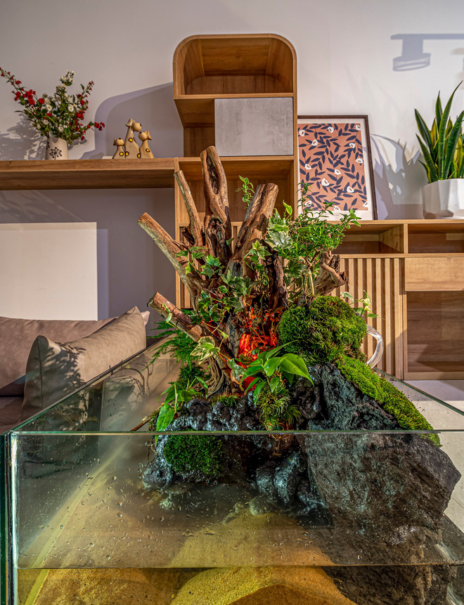 Có mảnh đất 75m2, vợ chồng Đà Nẵng xây nhà cực khéo: Trong nhà nghe tiếng nước chảy, ngoài vườn nghe tiếng chim hót-7