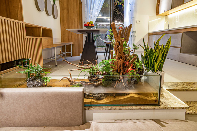 Có mảnh đất 75m2, vợ chồng Đà Nẵng xây nhà cực khéo: Trong nhà nghe tiếng nước chảy, ngoài vườn nghe tiếng chim hót-8