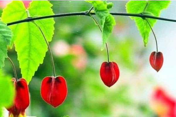 5 người thuộc mệnh này thu hoạch được tài lộc, tiền bạc rủng rỉnh nhất khi tháng 5 kết thúc-4