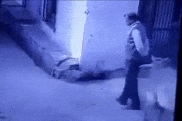 Clip: Bò điên rượt đuổi 2 cô gái rồi húc đổ cột bơm xăng-1