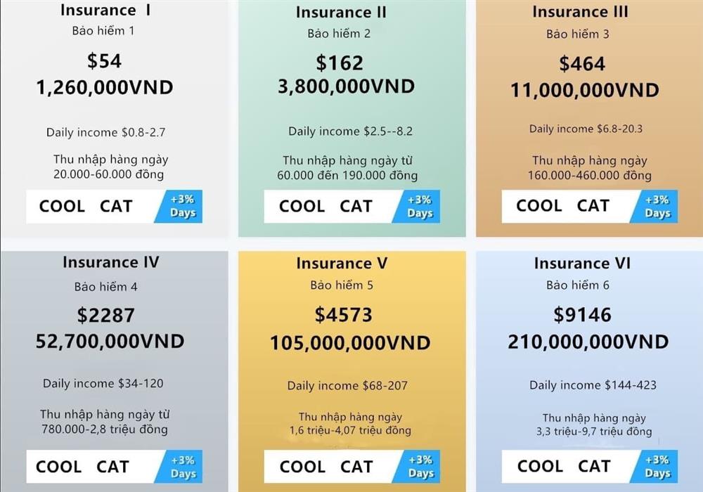 Nhảy vào sàn ảo Coolcat, tham giàu nhanh mất đứt sổ đỏ 5 căn nhà-1