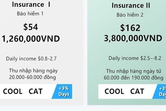 Nhảy vào sàn ảo Coolcat, tham giàu nhanh mất đứt sổ đỏ 5 căn nhà