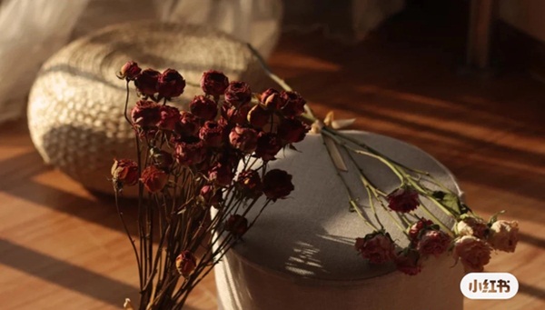 Trào lưu lập di chúc sớm của giới trẻ Trung Quốc: Để tài khoản game và viết sách cho bạn thân, tiền tiết kiệm cho hết mối tình đầu chia tay đã lâu-5