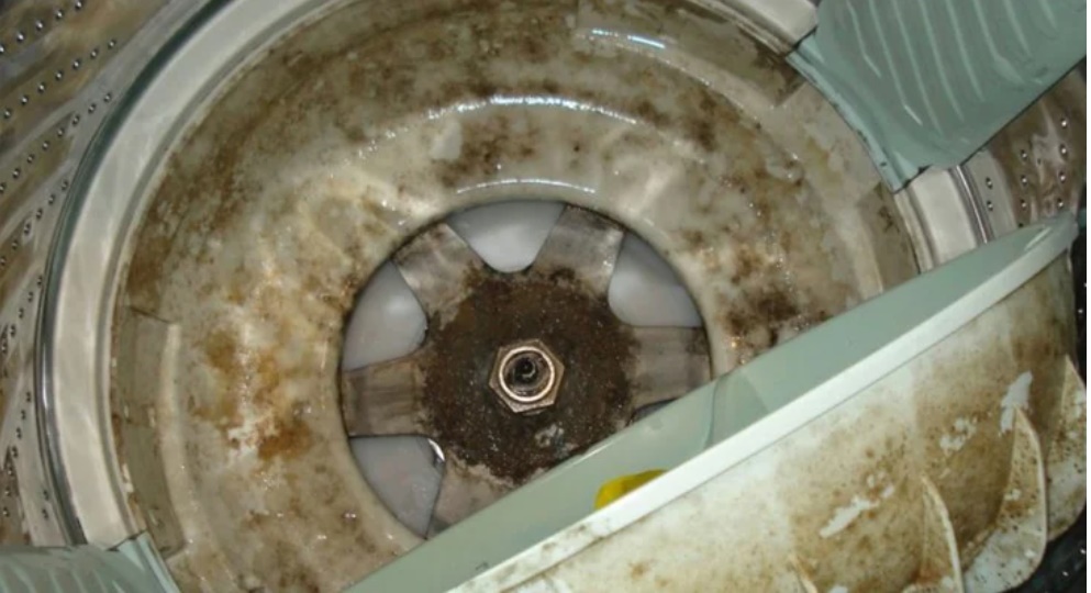 Đem giấm đổ vào máy giặt, tưởng việc ngớ ngẩn hóa ra lại mang đến lợi ích to đùng-1