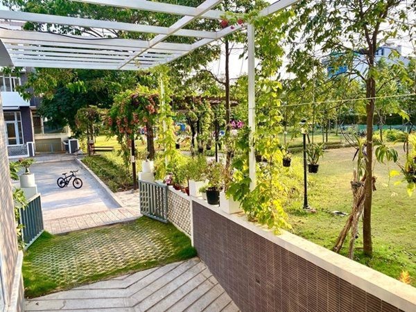 NSƯT Trịnh Kim Chi thu hoạch trái cây tại vườn biệt thự 200m2-1