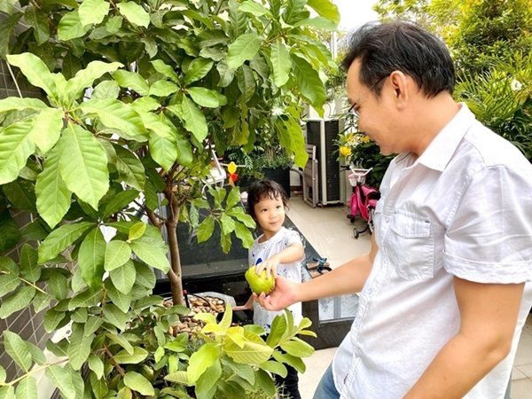 NSƯT Trịnh Kim Chi thu hoạch trái cây tại vườn biệt thự 200m2-5