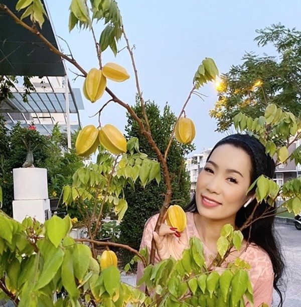NSƯT Trịnh Kim Chi thu hoạch trái cây tại vườn biệt thự 200m2-6