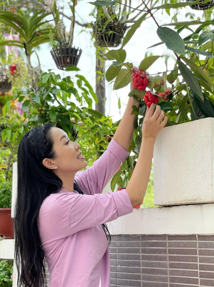 NSƯT Trịnh Kim Chi thu hoạch trái cây tại vườn biệt thự 200m2-7