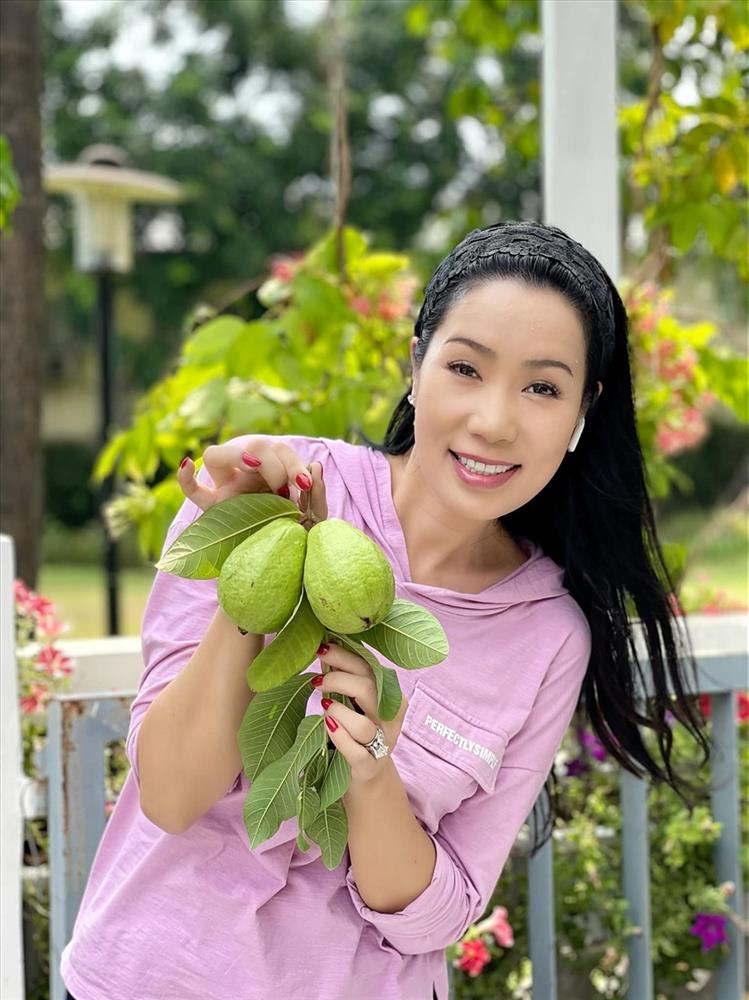NSƯT Trịnh Kim Chi thu hoạch trái cây tại vườn biệt thự 200m2-8