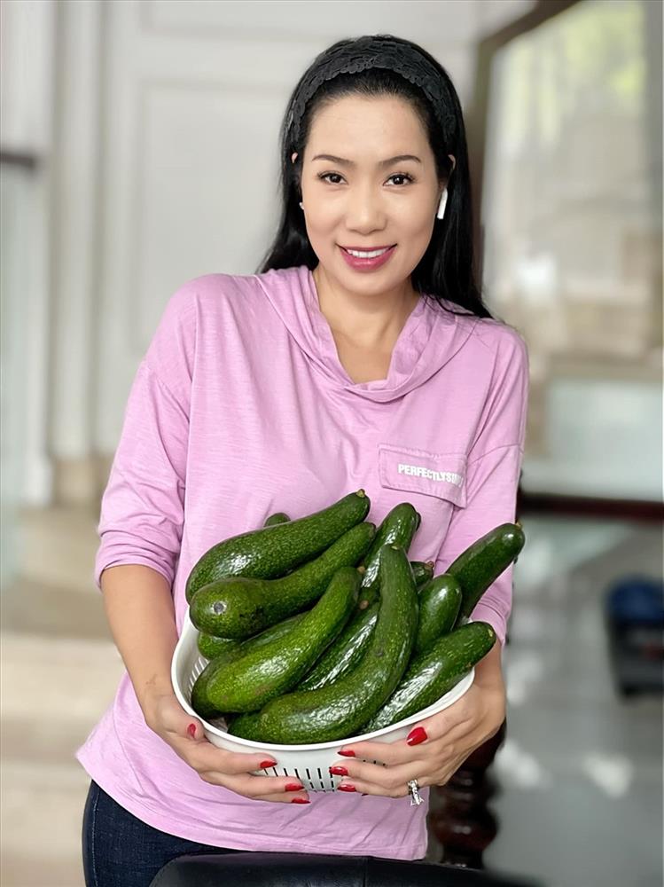 NSƯT Trịnh Kim Chi thu hoạch trái cây tại vườn biệt thự 200m2-14