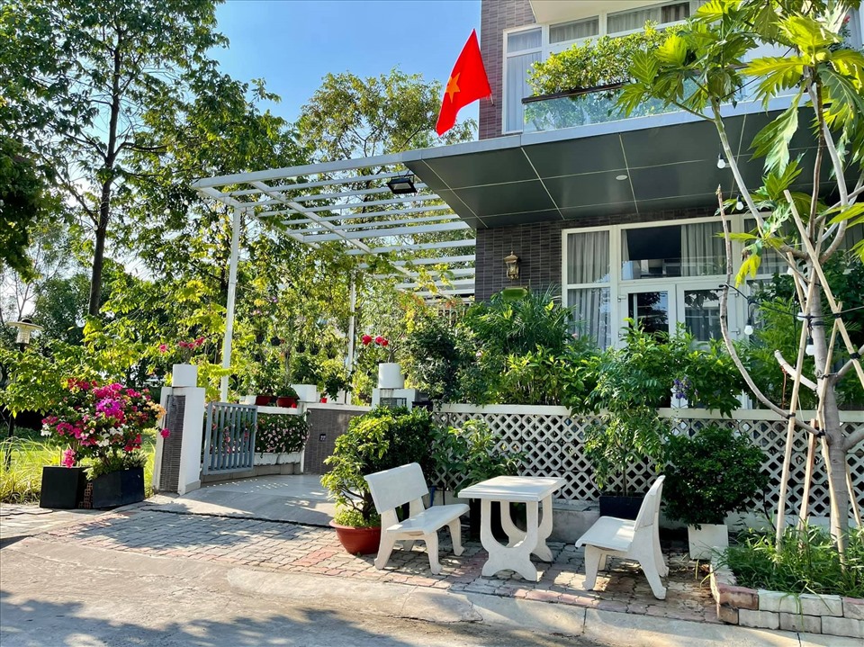 NSƯT Trịnh Kim Chi thu hoạch trái cây tại vườn biệt thự 200m2-15