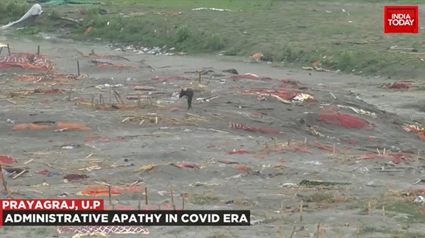 Video mới nhất quay mộ tập thể chôn nghìn người ở Ấn Độ: Sự thật khắc nghiệt của Covid-19-4