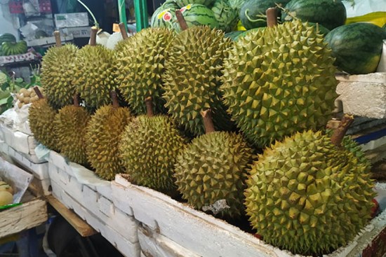 Đầu mùa ra chợ mua sầu riêng với giá từ 80 - 100 nghìn đồng/kg, cao hơn hẳn so với năm ngoái