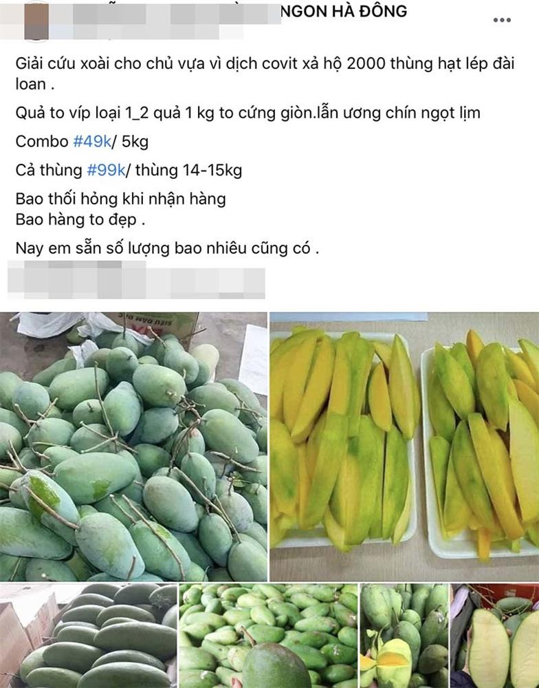 Tin buồn đầu mùa: Xoài Việt dội chợ, giá rẻ hơn rau-1